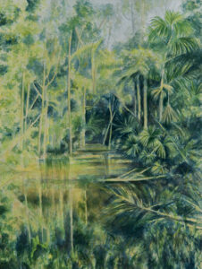Igapó Aquarela 38x28cm R$4500