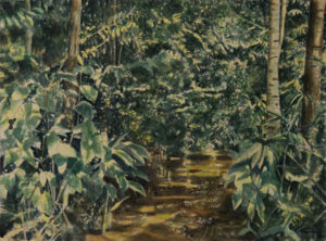 Igarapé das Pedras 2 Aquarela 28x38 R$4500