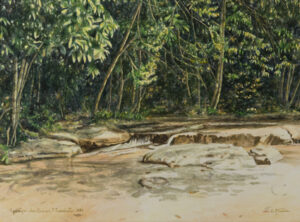 Igarapé das Pedras 1 Aquarela 28x38cm R$4500