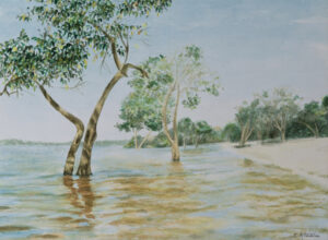 Lago Cajual Aquarela 28x38cm R$4500