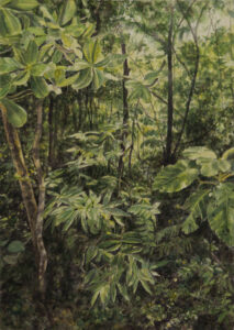 Mata Atlântica Aquarela 41x29cm R$5000