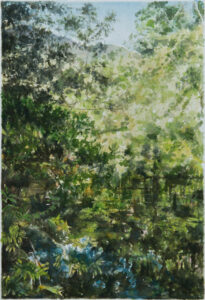 Rio Cipó Aquarela 30x20cm  Aquarela  R$3500