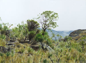 Serra  do Cipó  Aquarela  30x41cm  R$4500
