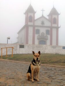 Contemplativo Lavras Novas