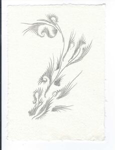 Wind Flow 2 